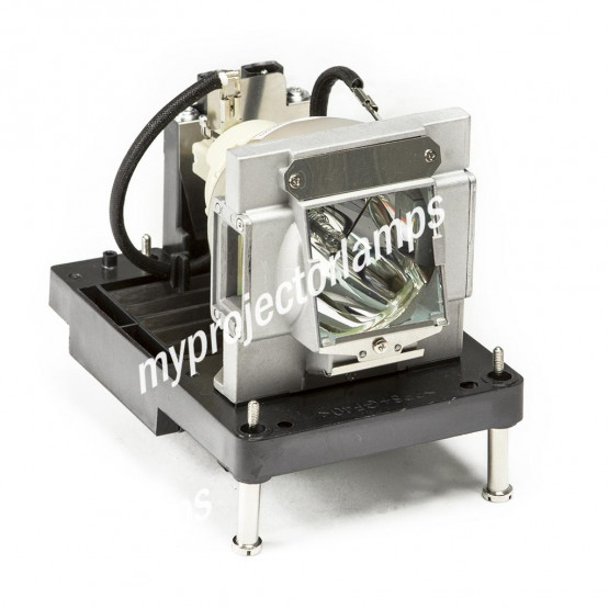 Vivitek D8010W Projector Lamp with Module