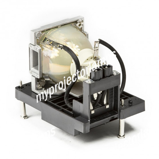 Vivitek D8010W Projector Lamp with Module