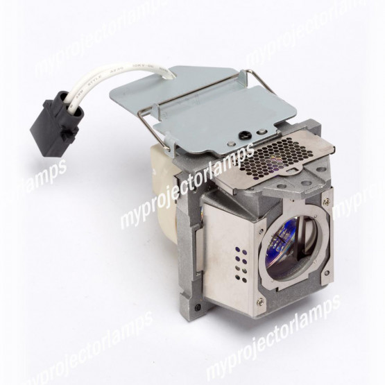 Benq TP4940 (right) Projector Lamp with Module