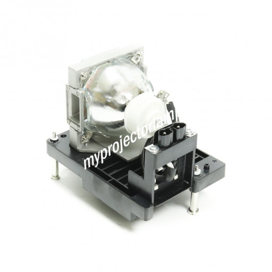 Digital Projection 114-229 Projector Lamp with Module