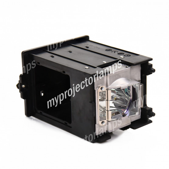 NEC NP10LP02 Projector Lamp with Module