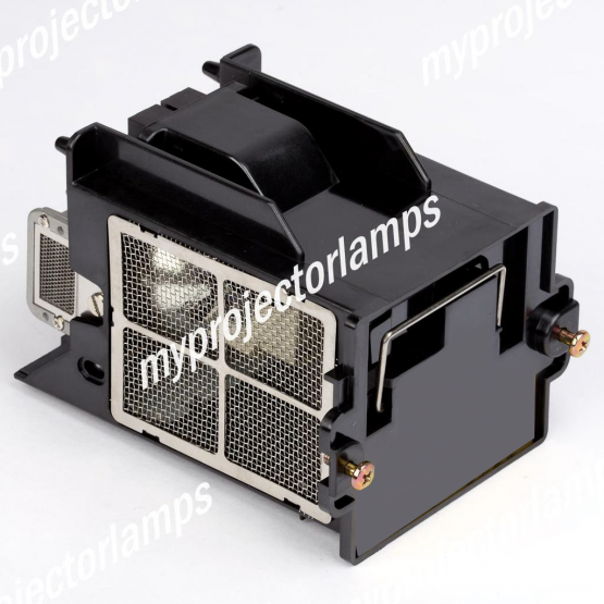 Planar PD7170 Projector Lamp with Module