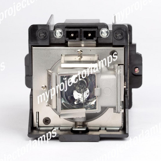 Planar PD7170 Projector Lamp with Module