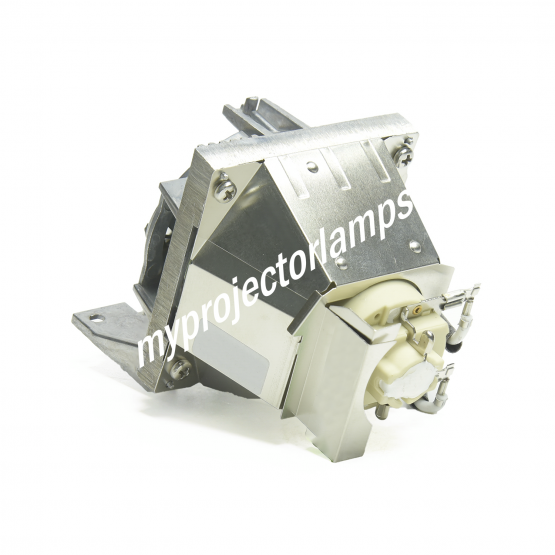 Viewsonic PX700HD Projector Lamp with Module