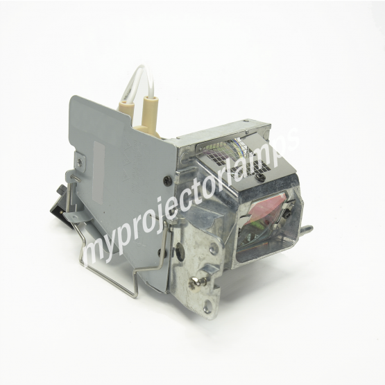 Acer MC.JH011.001 Projector Lamp with Module