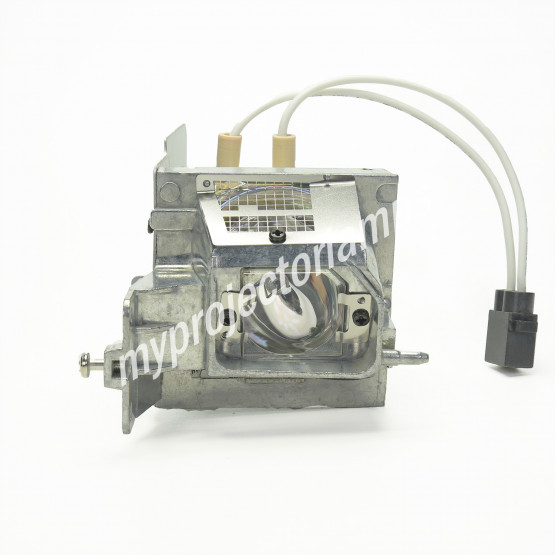 Acer X113 Projector Lamp with Module