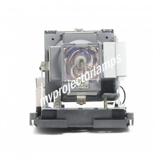 Vivitek 5811116885-S Projector Lamp with Module