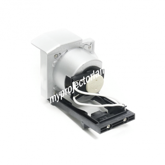 Viewsonic RLC-082 Projector Lamp with Module