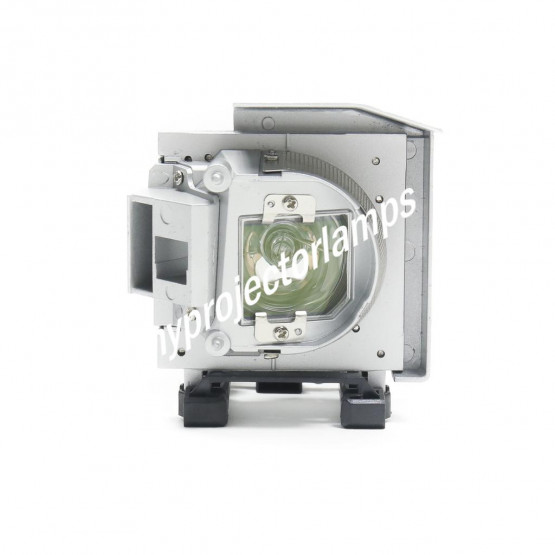 Viewsonic PJD8653S-1W Projector Lamp with Module