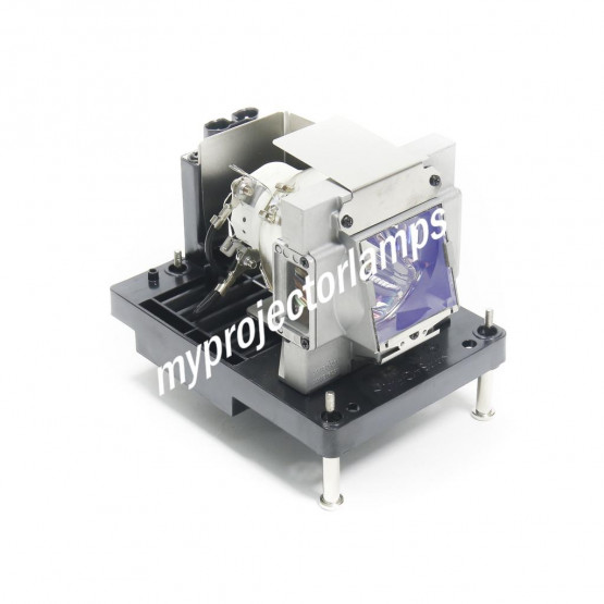 NEC NP25LP Projector Lamp with Module