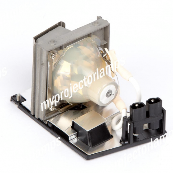 Optoma BL-FS220A / SP.86S01G.C01 Projector Lamp with Module
