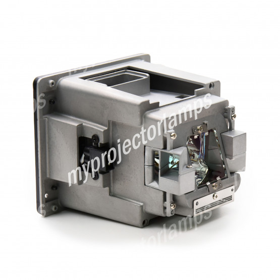 Optoma SP.74M01GC01 Projector Lamp with Module