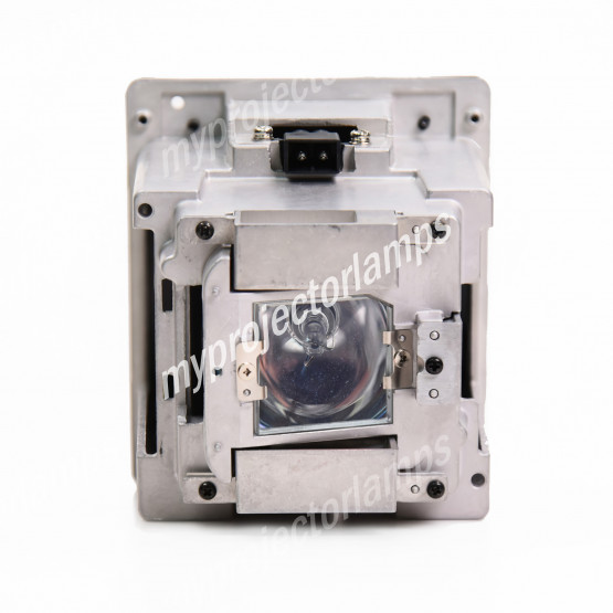 Viewsonic PRO10120 Projector Lamp with Module