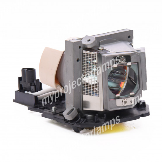 Acer EC.J8100.001 Projector Lamp with Module