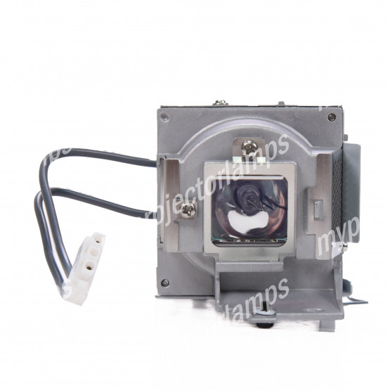 Acer QNX1102 Projector Lamp with Module