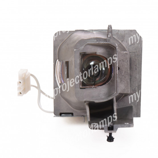 Optoma BL-FU240H Projector Lamp with Module