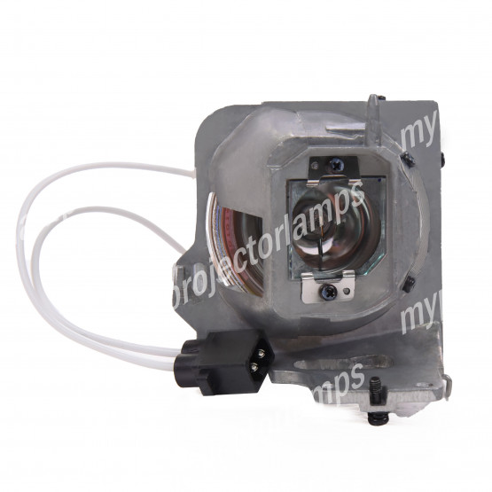 Optoma SP.7C101GC01 Projector Lamp with Module