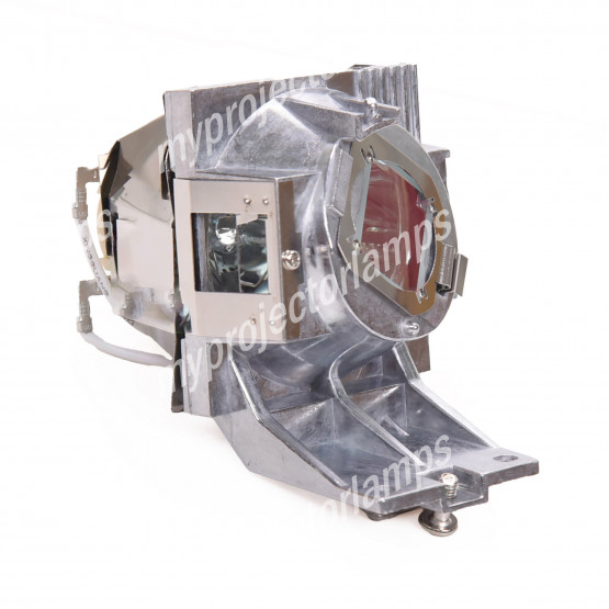 Viewsonic RLC-127 Projector Lamp with Module
