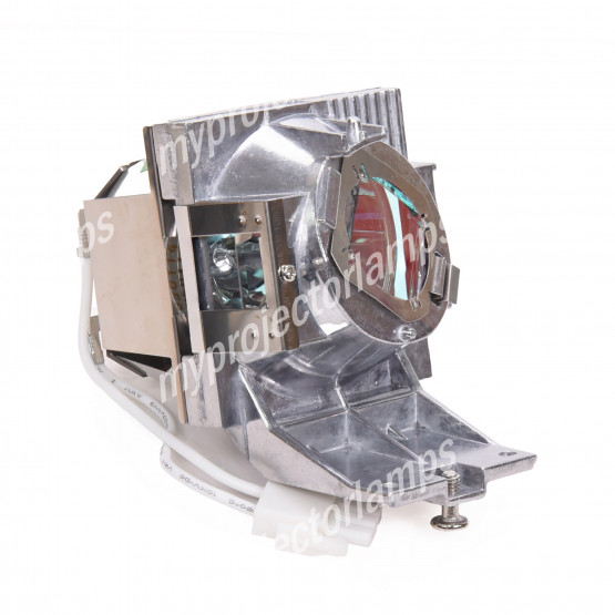 Viewsonic RLC-126 Projector Lamp with Module