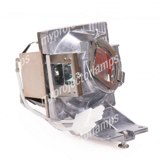 Viewsonic PX701HDP Projector Lamp with Module