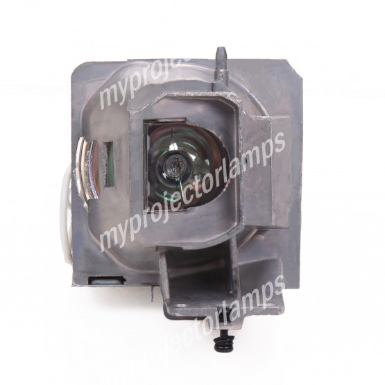 Acer MC.JS411.001 Projector Lamp with Module