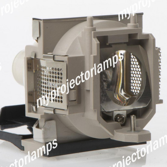 Benq PB8260 Projector Lamp with Module