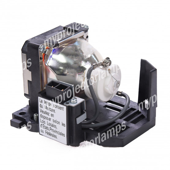Cineversum BlackWing Three MK2013 Projector Lamp with Module