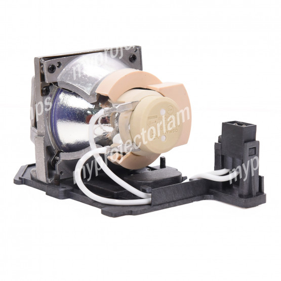Optoma DN344 Projector Lamp with Module