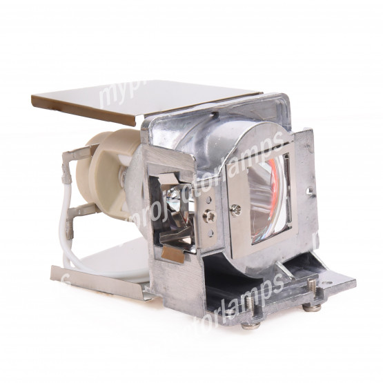 Viewsonic RLC-075 Projector Lamp with Module