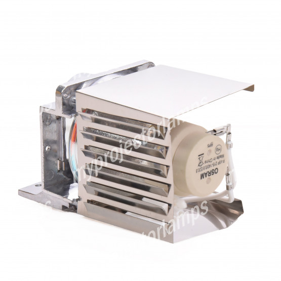 Viewsonic RLC-075 Projector Lamp with Module