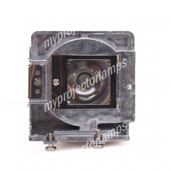 Viewsonic RLC-075 Projector Lamp with Module
