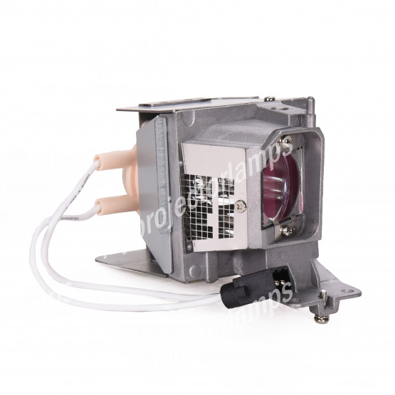 Optoma SP.72WR1GR01 Projector Lamp with Module