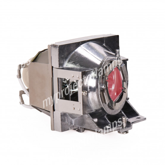 Viewsonic RLC-124 Projector Lamp with Module