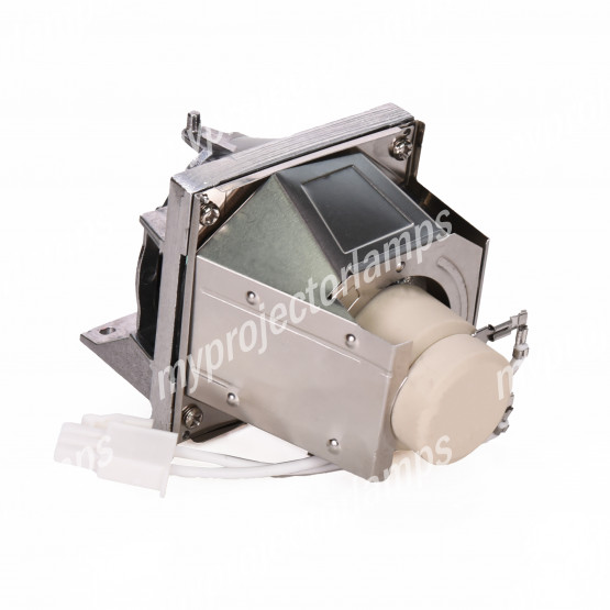 Viewsonic RLC-124 Projector Lamp with Module