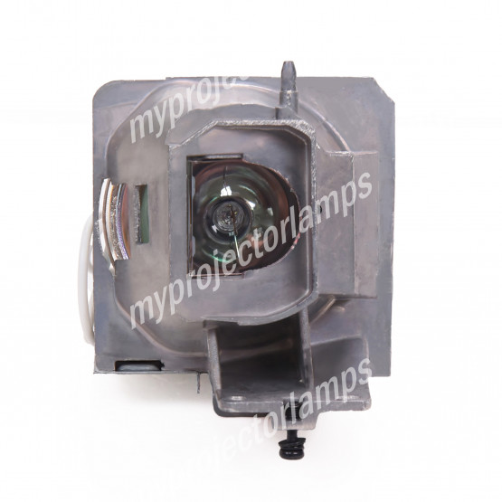 Acer UC.JS411.002 Projector Lamp with Module
