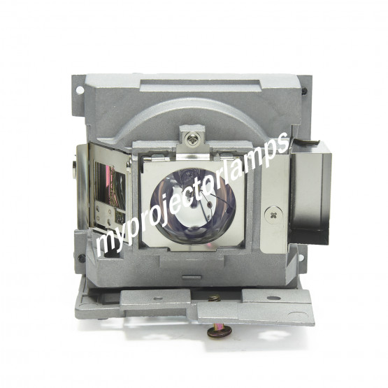 NEC NP-9LP06 Projector Lamp with Module