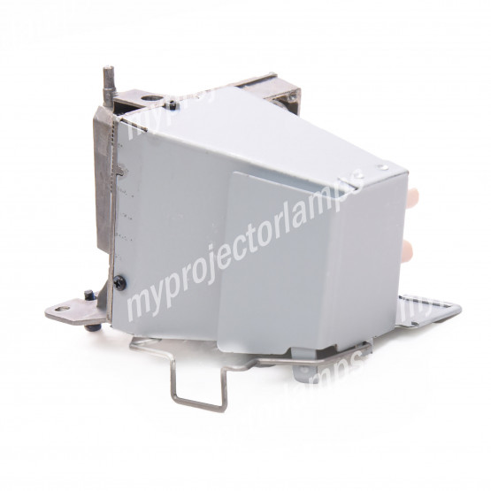 Optoma SP.7BU01GC01 Projector Lamp with Module