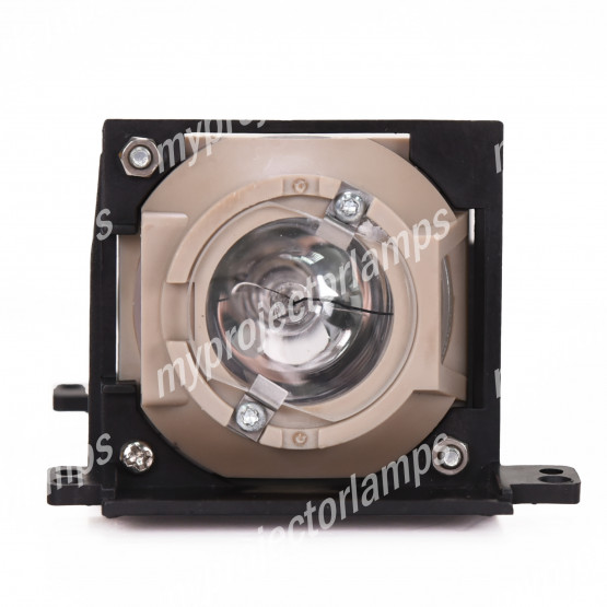 Iiyama DPX 100 Projector Lamp with Module