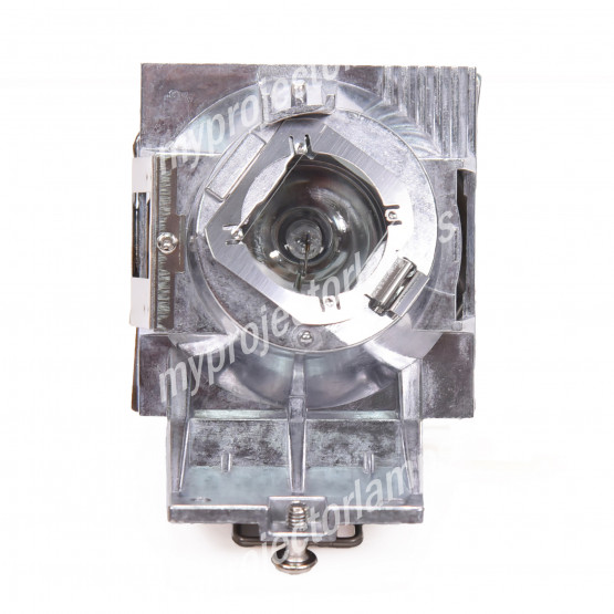 Viewsonic RLC-127 Projector Lamp with Module