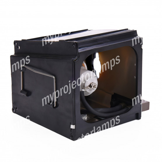 Sharp BQC-XVZ100005/1 Projector Lamp with Module
