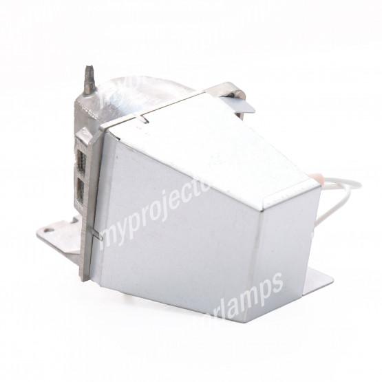 Acer MC.JR711.008(9) Projector Lamp with Module