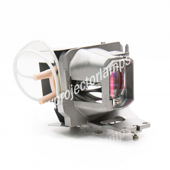 Acer MC.JRN11.002 (APO) Projector Lamp with Module