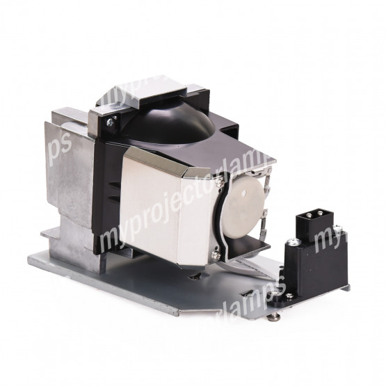 Vivitek DW770US Projector Lamp with Module