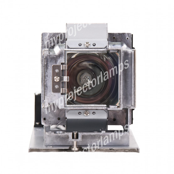 Vivitek DW770US Projector Lamp with Module