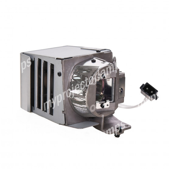 Acer P6200 Projector Lamp with Module