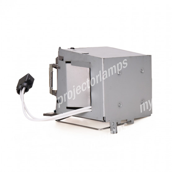 Acer P6200 Projector Lamp with Module