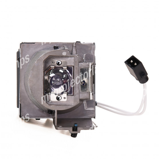 Acer P6200 Projector Lamp with Module