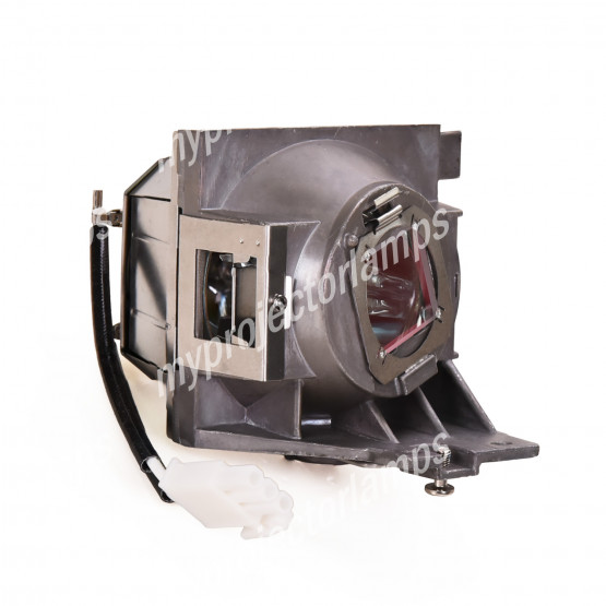 Viewsonic RLC-125 Projector Lamp with Module
