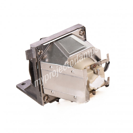 Viewsonic RLC-125 Projector Lamp with Module