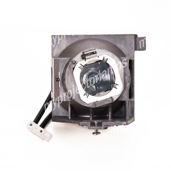 Viewsonic RLC-125 Projector Lamp with Module